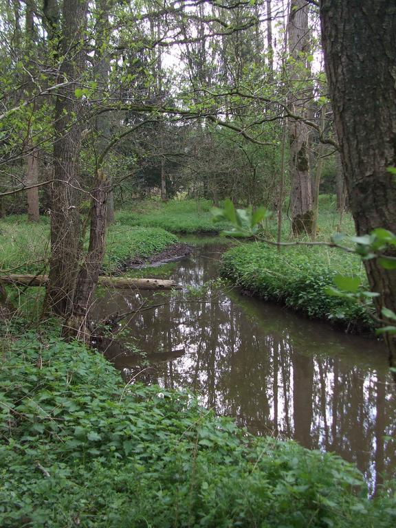 Farm Stay Luythoeve Meeuwen Eksteriør bilde